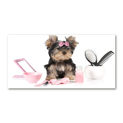 Plexiglas schilderij Yorkshire cosmetica