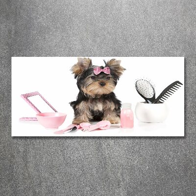 Plexiglas schilderij Yorkshire cosmetica