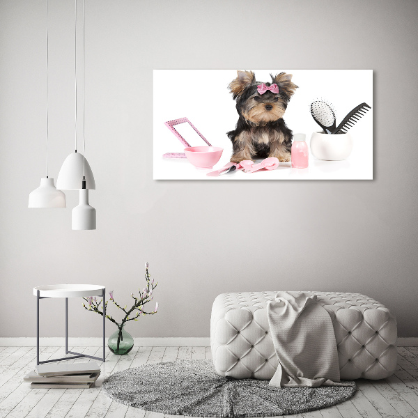 Plexiglas schilderij Yorkshire cosmetica