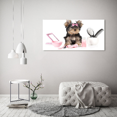 Plexiglas schilderij Yorkshire cosmetica