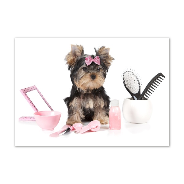 Plexiglas schilderij Yorkshire cosmetica