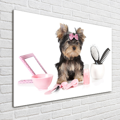 Plexiglas schilderij Yorkshire cosmetica