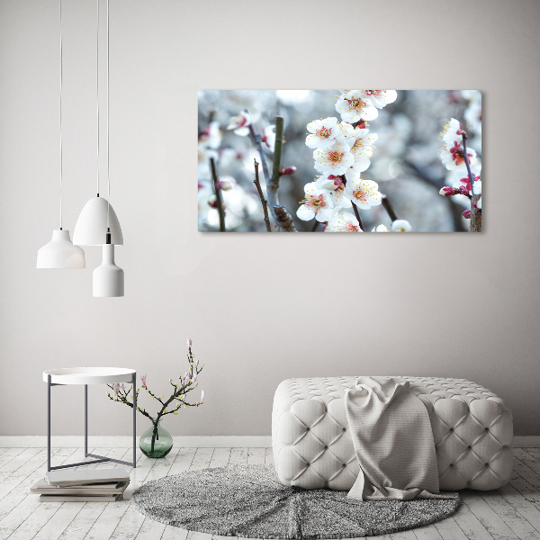 Foto plexiglas Kersenbloesems