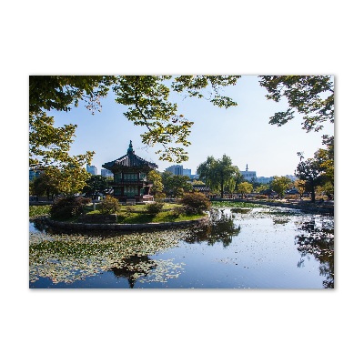 Plexiglas schilderij Zuid-Korea