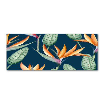 Schilderij op acrylglas Strelitzia reginae