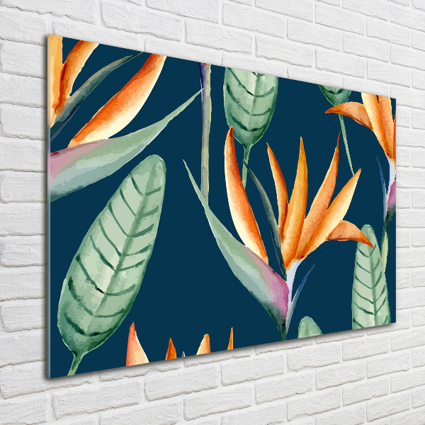 Schilderij op acrylglas Strelitzia reginae