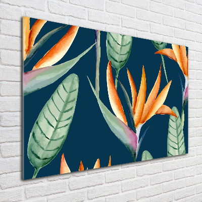 Schilderij op acrylglas Strelitzia reginae
