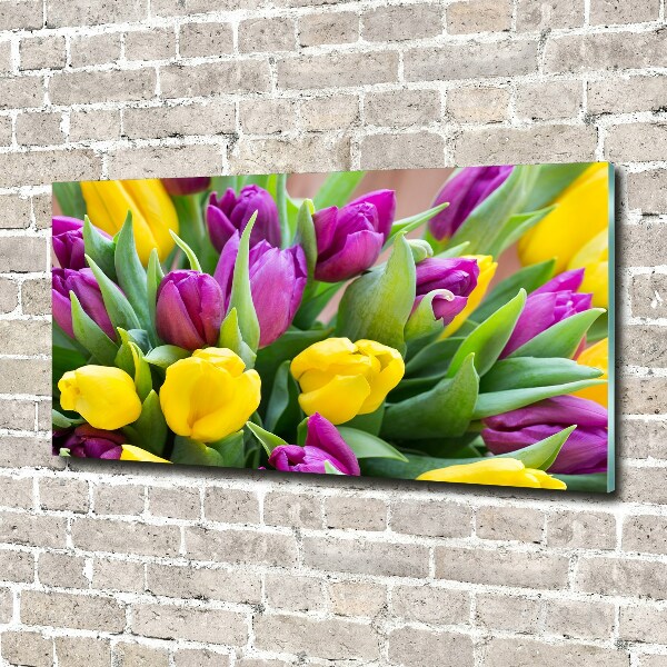Plexiglas schilderij Kleurrijke tulpen