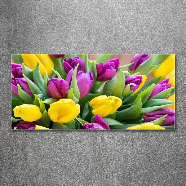 Plexiglas schilderij Kleurrijke tulpen
