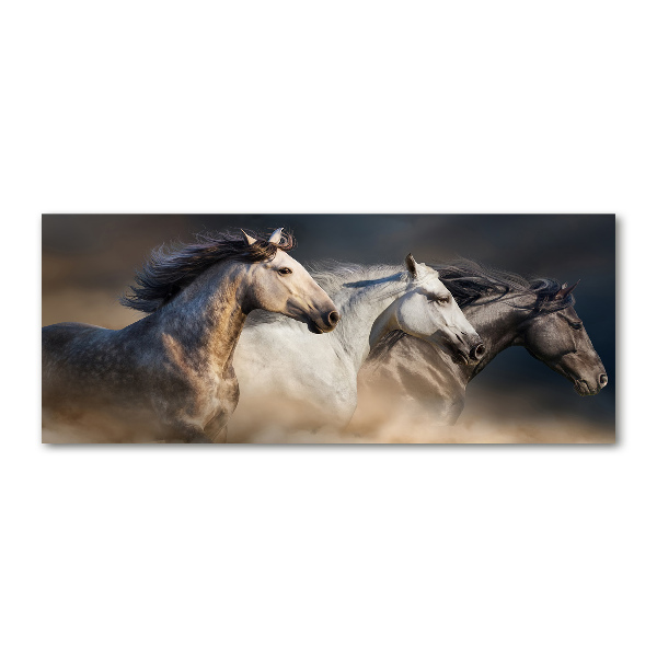 Foto in plexiglas Paarden in galop
