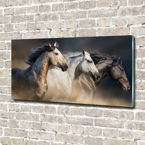 Foto in plexiglas Paarden in galop