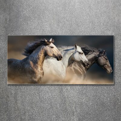 Foto in plexiglas Paarden in galop