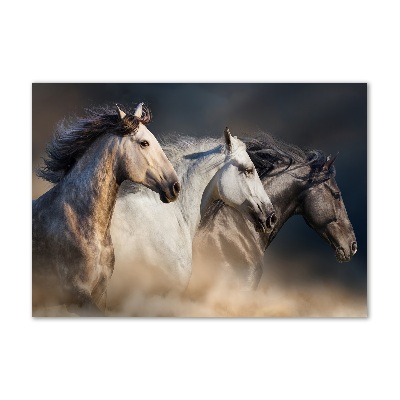 Foto in plexiglas Paarden in galop