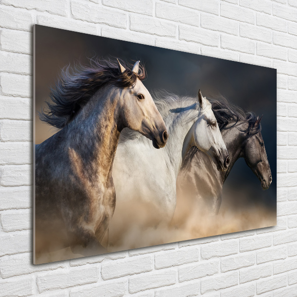 Foto in plexiglas Paarden in galop