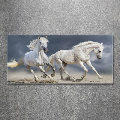 Schilderij op acrylglas Witte paardenstrand