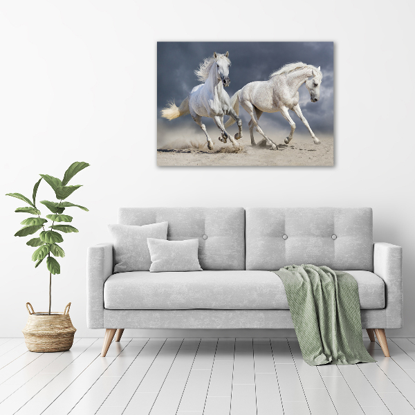 Schilderij op acrylglas Witte paardenstrand