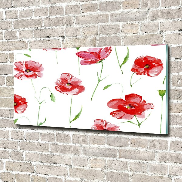 Foto plexiglas Klaprozen