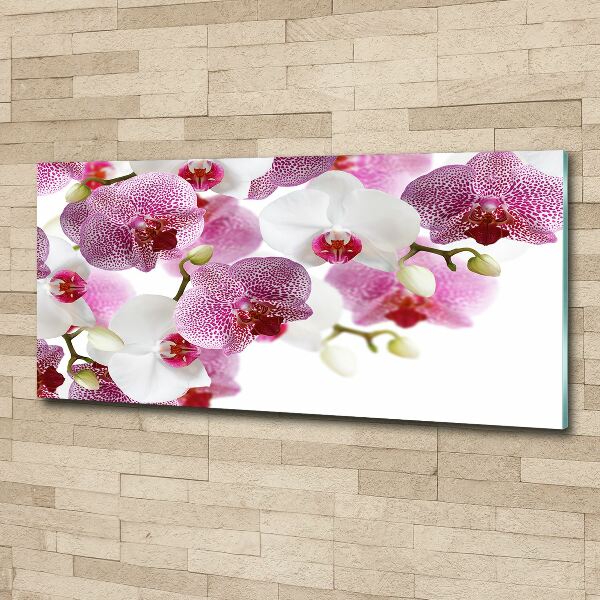 Foto in plexiglas Orchidee
