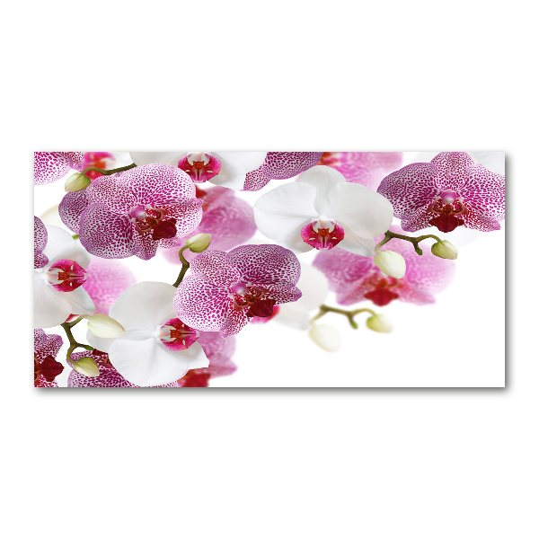 Foto in plexiglas Orchidee