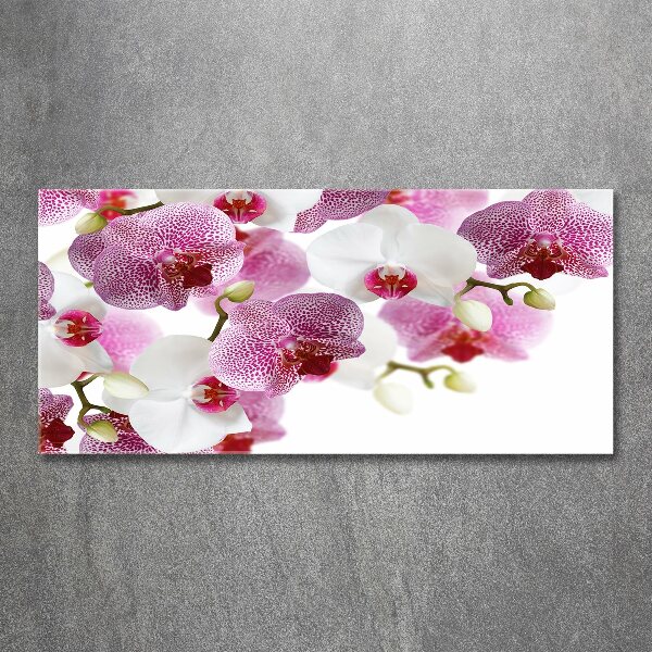 Foto in plexiglas Orchidee
