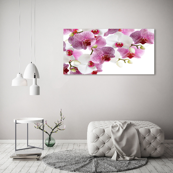 Foto in plexiglas Orchidee