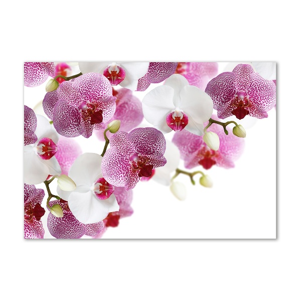 Foto in plexiglas Orchidee