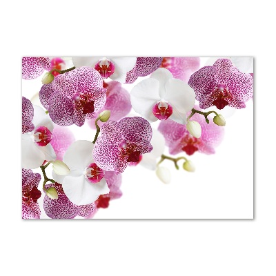 Foto in plexiglas Orchidee
