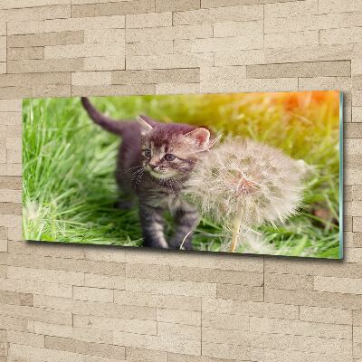Foto op plexiglas Kitten met een paardenbloem