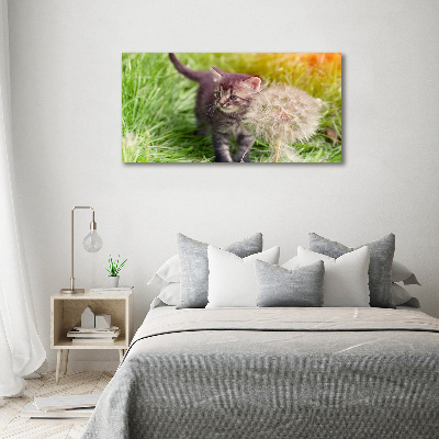 Foto op plexiglas Kitten met een paardenbloem