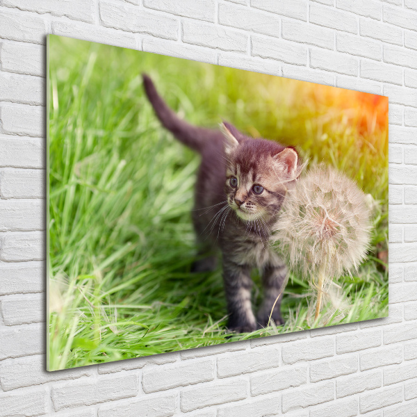Foto op plexiglas Kitten met een paardenbloem