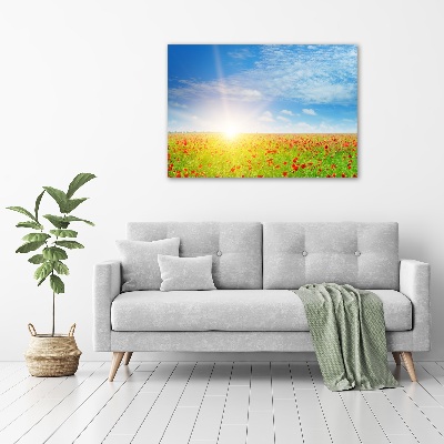 Schilderij op acrylglas Klaprozenveld