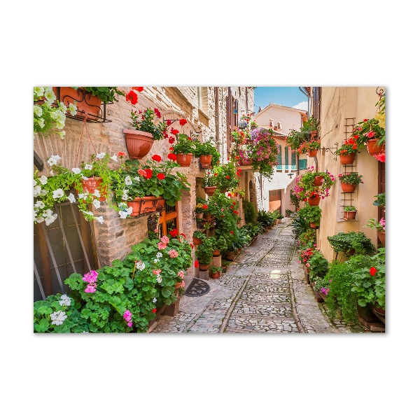 Plexiglas schilderij Italiaanse straten