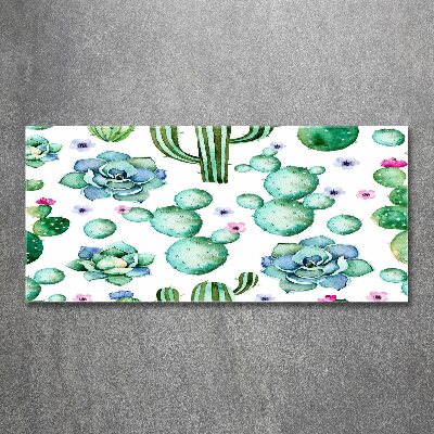 Foto op plexiglas Cactussen