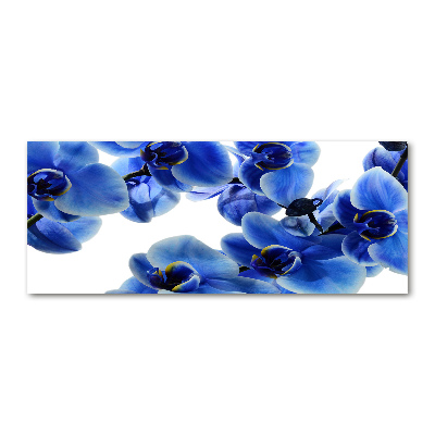 Foto plexiglas Blauwe orchidee