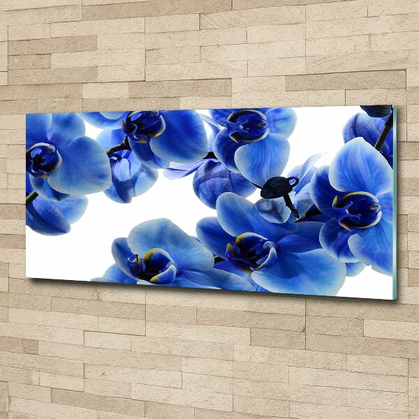 Foto plexiglas Blauwe orchidee