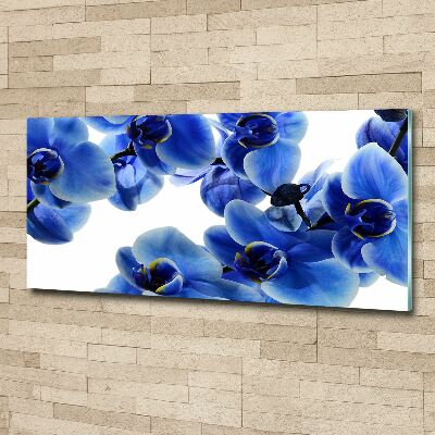 Foto plexiglas Blauwe orchidee