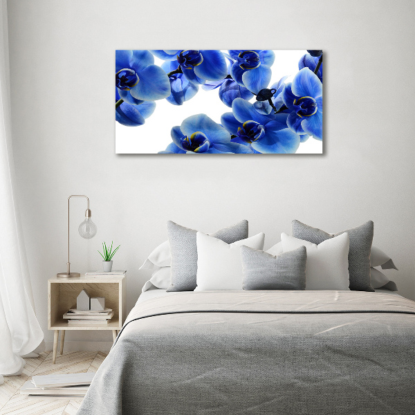 Foto plexiglas Blauwe orchidee
