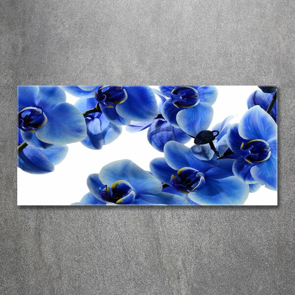 Foto plexiglas Blauwe orchidee