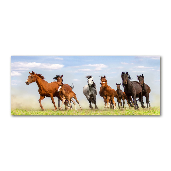 Plexiglas foto Paarden in galop
