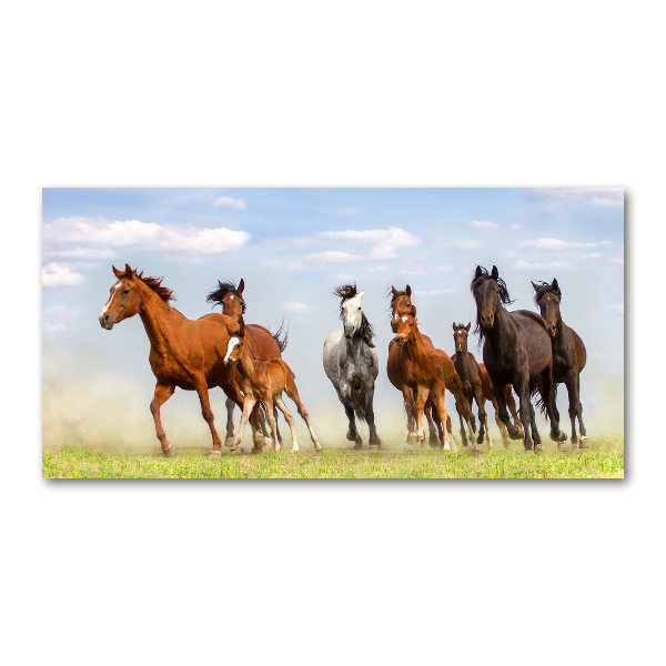 Plexiglas foto Paarden in galop
