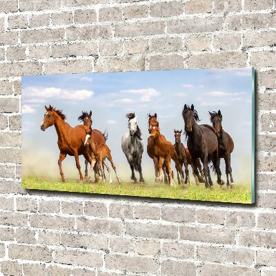 Plexiglas foto Paarden in galop