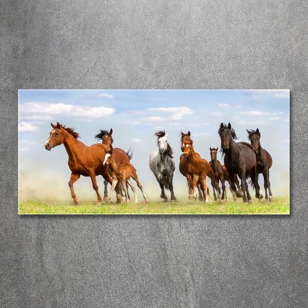 Plexiglas foto Paarden in galop