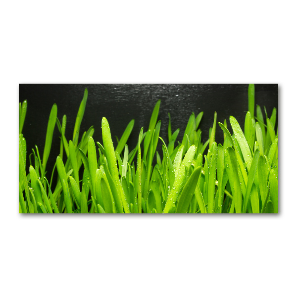 Foto in plexiglas Gras