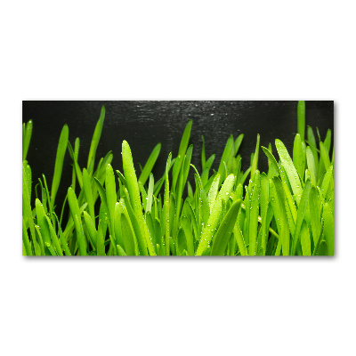 Foto in plexiglas Gras