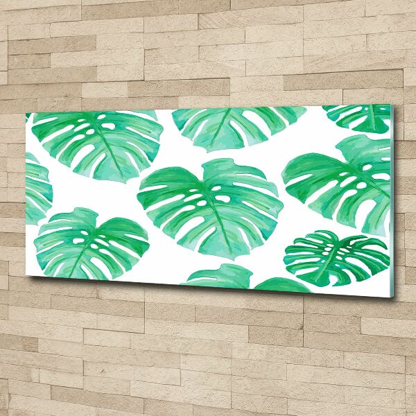Schilderij op acrylglas Monstera