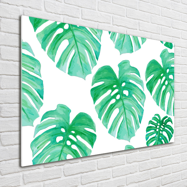 Schilderij op acrylglas Monstera