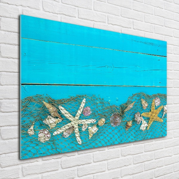 Foto op plexiglas Zeesterren en schelpen