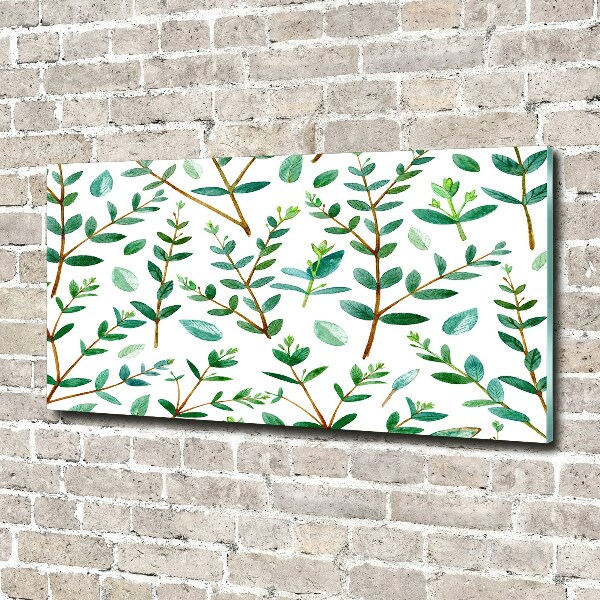 Plexiglas schilderij Eucalyptus