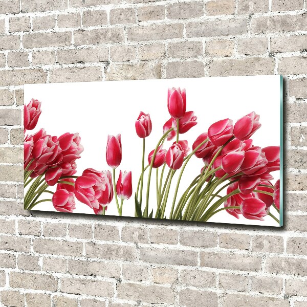 Foto op plexiglas Rode tulpen