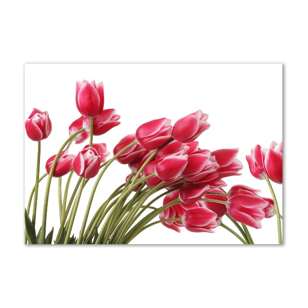 Foto op plexiglas Rode tulpen
